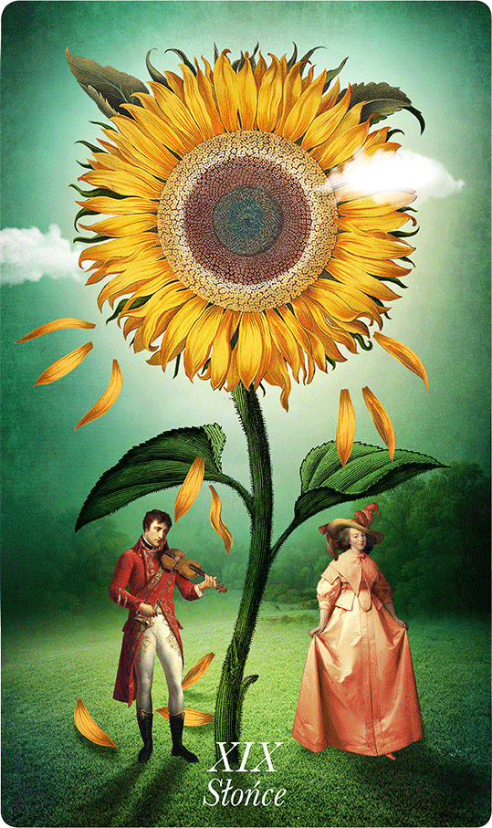tarot tygodnia slonce